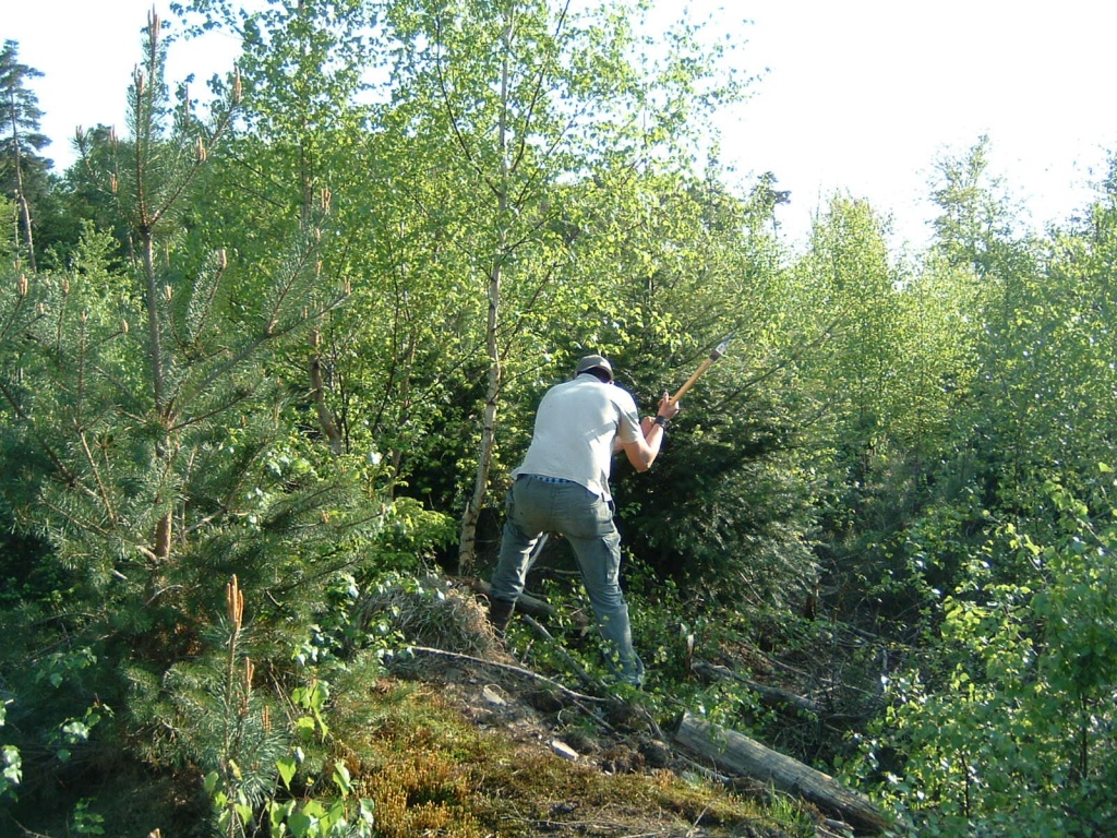 DSCF0021.JPG