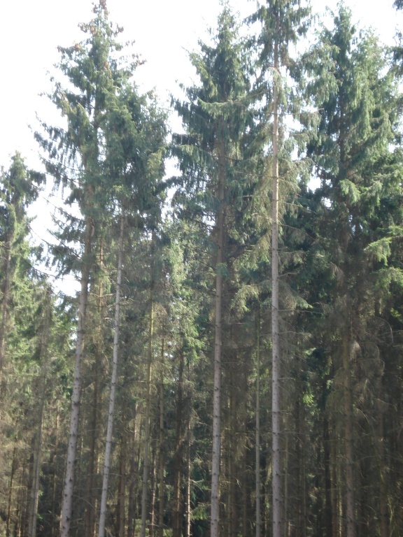DSC02665.JPG
