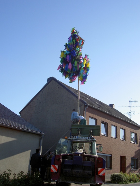 PICT3519.JPG