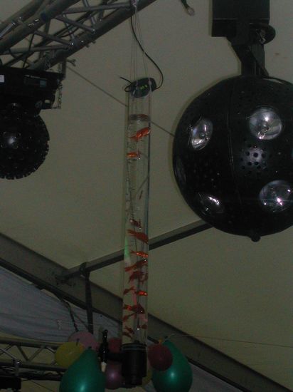picture-0002.jpg