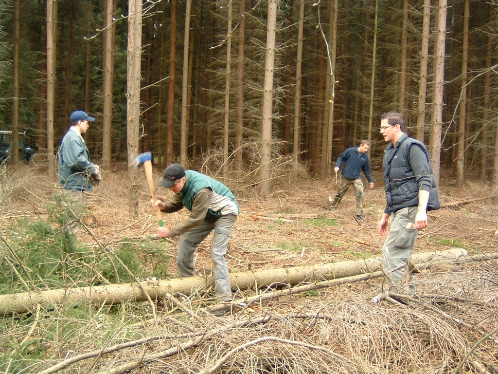 DSCF0079.JPG
