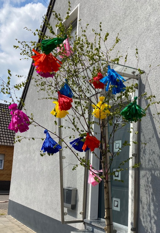 Bild64.jpg