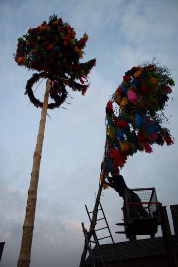 picture-0093.jpg