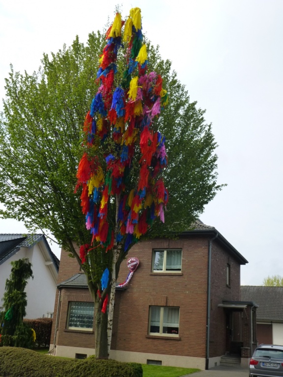 mainacht2016_109.jpg