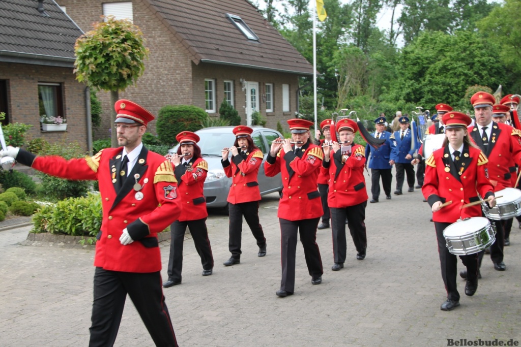 IMG_7145-xl.JPG