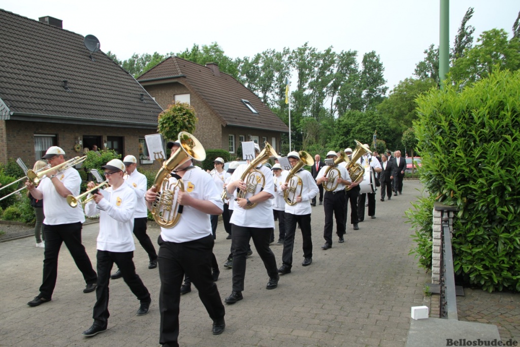 IMG_7194-xl.JPG