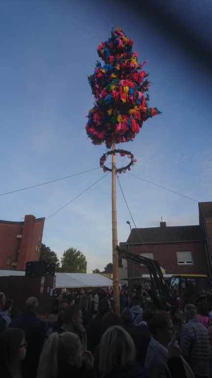 DSC_0172.JPG