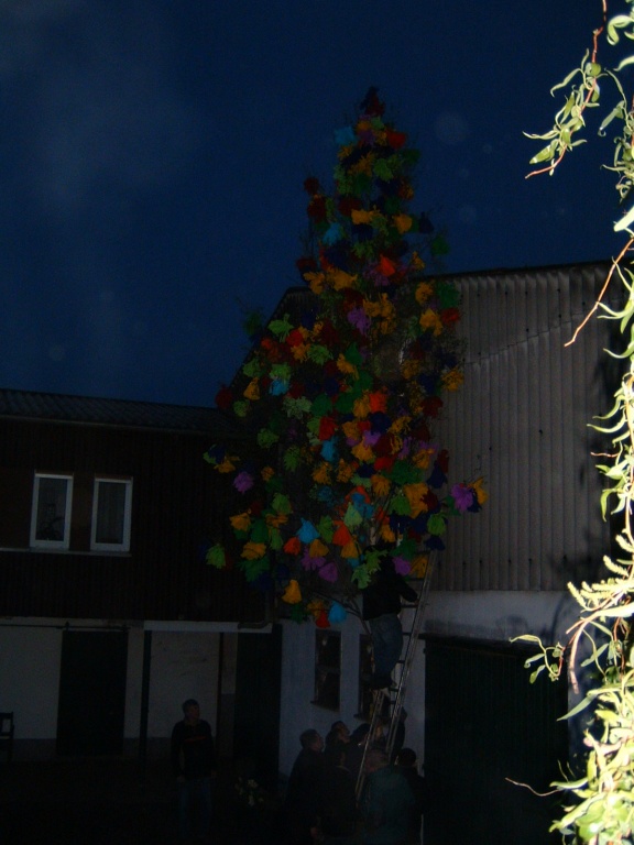 DSCF0096.JPG