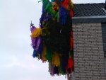 DSCF0113.JPG