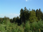 DSCF0027.JPG