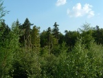 DSCF0028.JPG