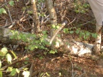 DSCF0038.JPG