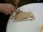 picture-0037.jpg