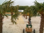 picture-0066.jpg