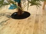 picture-0103.jpg