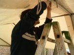 picture-0005.jpg