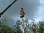 picture-0088.jpg
