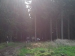 IMG_20120414_110147.jpg