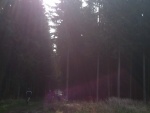 IMG_20120414_110622.jpg