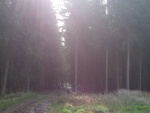 IMG_20120414_110628.jpg