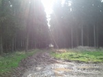 IMG_20120414_111011.jpg