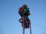 DSC03032.JPG