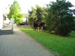 DSC03065.JPG