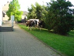 DSC03067.JPG