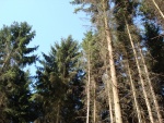 DSC02546.JPG