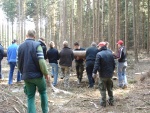 DSC02562.JPG