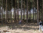 DSC02646.JPG