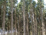 DSC02655.JPG