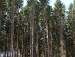 DSC02657.JPG