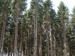 DSC02658.JPG