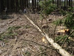 DSC02664.JPG
