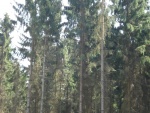 DSC02665.JPG