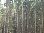 DSC02666.JPG