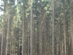 DSC02667.JPG