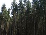 DSC02669.JPG