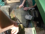 DSC02734.JPG