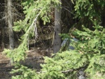 DSC02740.JPG