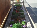img_20120430_095142.jpg