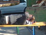 DSC03077.JPG