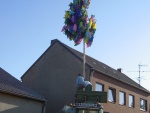 PICT3519.JPG