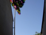 PICT3522.JPG