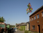 PICT3525.JPG