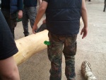 img_20120430_183417.jpg