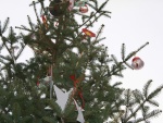 IMG_2111.JPG