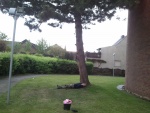 img_20120501_065110.jpg