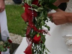 IMG_9384.jpg